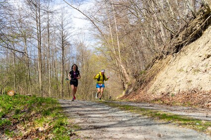 Pojedynek gigantów na Ultra Wysoczyźnie