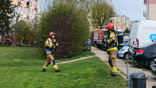 Ćwiczenia „Elbląg 2026”, „Truso 2026”