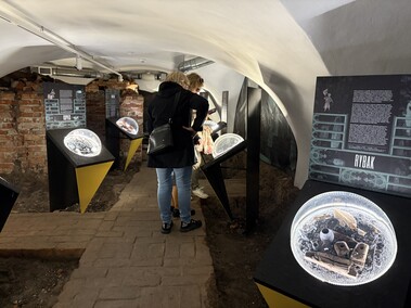 Od wikingów po mapping, czyli Noc Muzeów po elbląsku