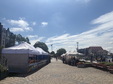 Stare Miasto i morze