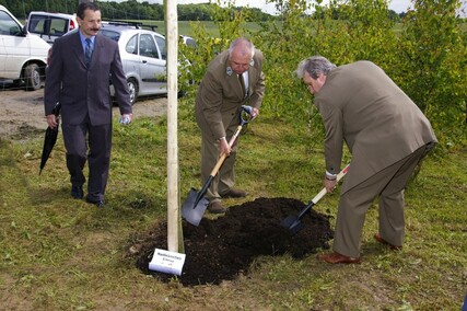 Dęby przyjaźni na elbląskiej Modrzewinie (w obiektywie Henryka Myślińskiego)