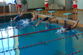 Mistrzostwa Elbląga „Masters 2010” (pływanie)