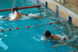 Mistrzostwa Elbląga „Masters 2010” (pływanie)