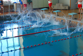 Mistrzostwa Elbląga „Masters 2010” (pływanie)