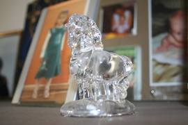 Te konie to niezły konik