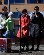 Żonkile opanowały Elbląg. Już siódmy raz