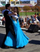 Żonkile opanowały Elbląg. Już siódmy raz