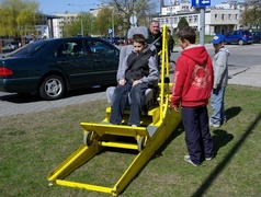 Żonkile opanowały Elbląg. Już siódmy raz