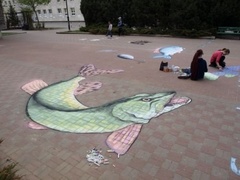 Street Art na ulicach Elbląga