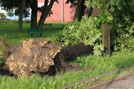 Nawałnica nad Elblągiem