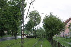 Nawałnica nad Elblągiem