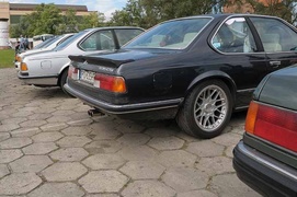 „Rekiny” przyjechały na Żuławy