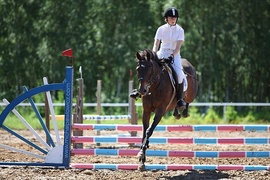 Zawody w Sokolniku Zawody w Sokolniku