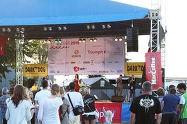 Bursztynowa Miss Polski - Puck