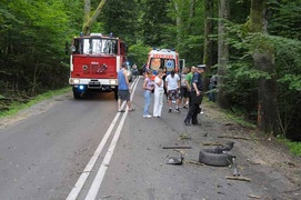 Seat spadł ze skarpy