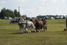 Piastowskie zawody w powożeniu