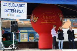 Najlepszy przyjaciel człowieka