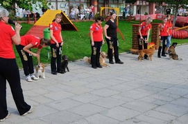 Najlepszy przyjaciel człowieka