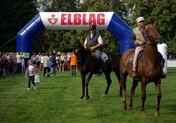 Bażantarnia dla wytrwałych