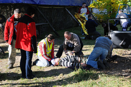 Niesamowicie realistyczna symulacja