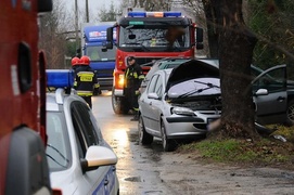 Peugeot uderzył w drzewo