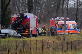 Peugeot uderzył w drzewo