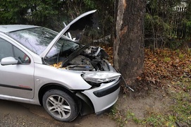 Peugeot uderzył w drzewo