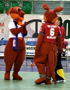 Start wraca do gry (piłka ręczna)