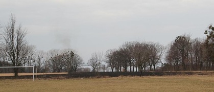 Akcja \"wypalanie traw\" rozpoczęta