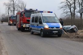 Laguną ścięła drzewo