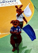 Szczęście było blisko (piłka ręczna)