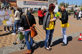 Żonkilowy festyn na rzecz hospicjum