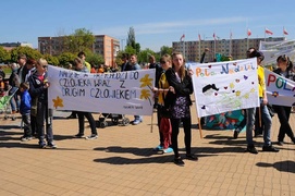 Żonkilowy festyn na rzecz hospicjum