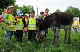 Nauka to dobra zabawa Nauka to dobra zabawa