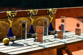 Faworyci wygrali portEl Open 2011 (tenis)