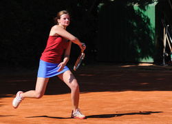 Faworyci wygrali portEl Open 2011 (tenis)