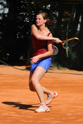 Faworyci wygrali portEl Open 2011 (tenis)