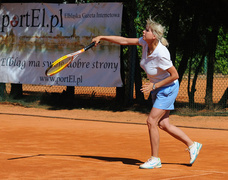 Faworyci wygrali portEl Open 2011 (tenis)