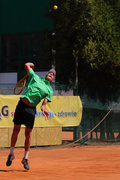 Faworyci wygrali portEl Open 2011 (tenis)