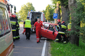 Oplem uderzył w drzewo