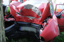 Oplem uderzył w drzewo