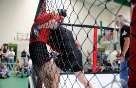 Wyniki mistrzostw MMA