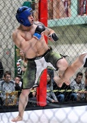 Wyniki mistrzostw MMA