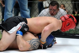 Wyniki mistrzostw MMA