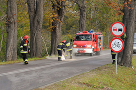 Leganzą uderzył w drzewo