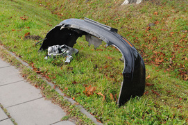 Leganzą uderzył w drzewo