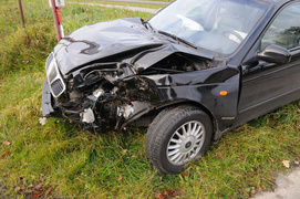 Leganzą uderzył w drzewo