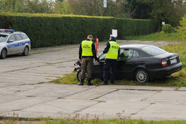 Leganzą uderzył w drzewo
