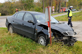 Leganzą uderzył w drzewo