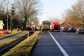 Kazimierzowo: kia na drzewie